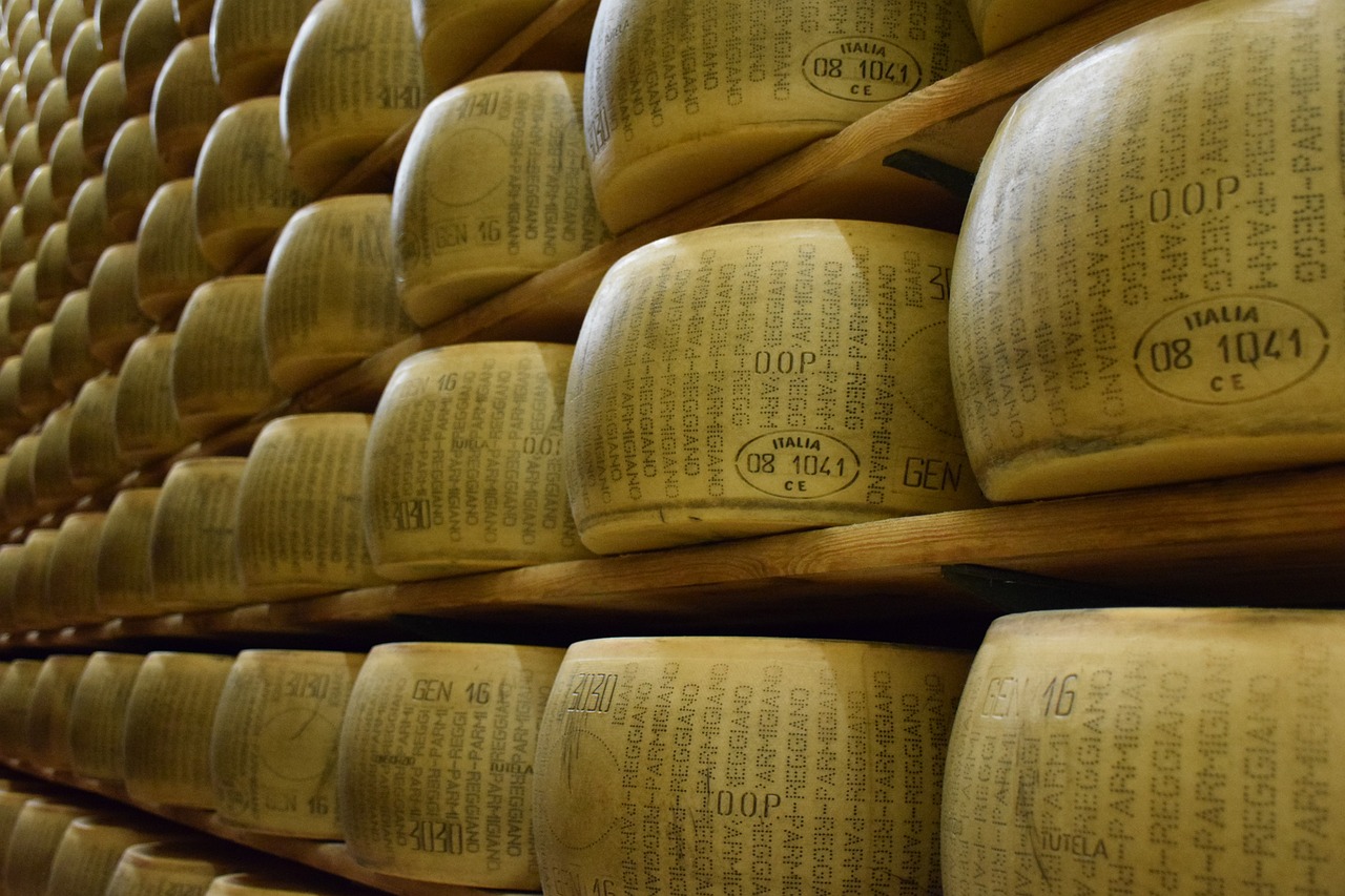 Meules de Parmigiano Nombreuses meules de parmesan sur différentes étagères en bois